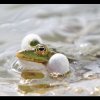 20120522_1165
